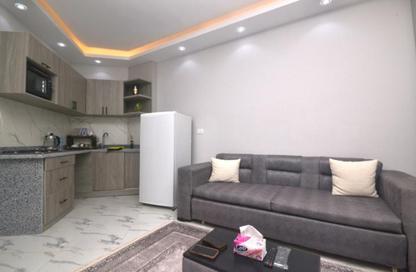 Apartment - 1 Bedroom - 1 Bathroom for rent in Al Ahyaa District - Hurghada - Red Sea Apartment - 1 Bedroom - 1 Bathroom for rent in Al Ahyaa District - Hurghada - Red Sea