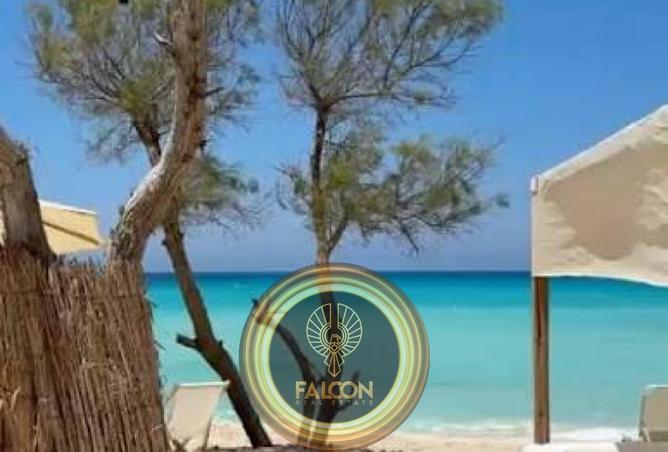 83980192 - صورة العقار 3
