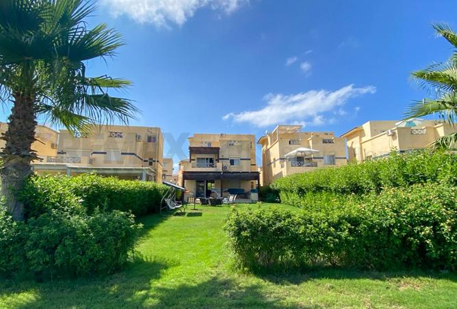 93817819 - صورة العقار 2