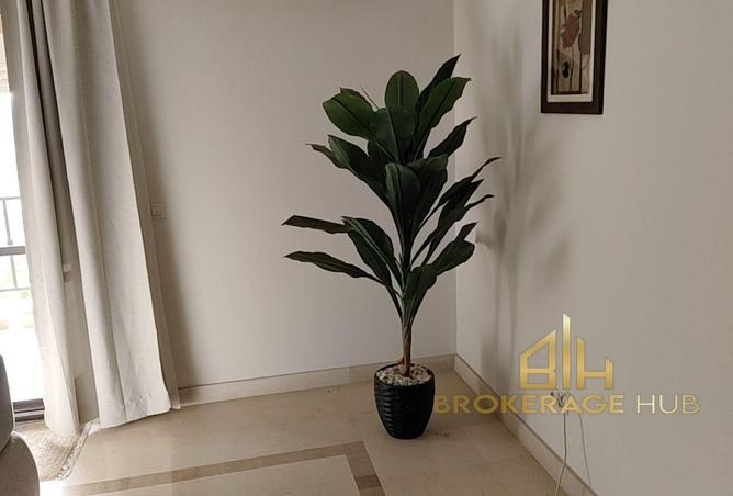 77049316 - صورة العقار 3