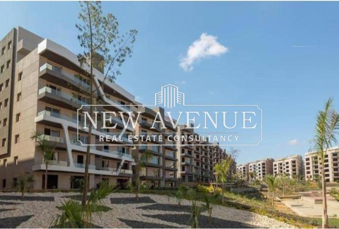 55246915 - Property Image 2