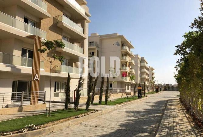 81314726 - صورة العقار 3