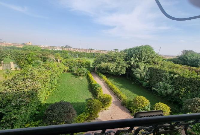 56006667 - الصورة الرئيسية للعقار