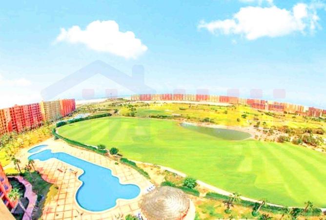 58990356 - صورة العقار 3