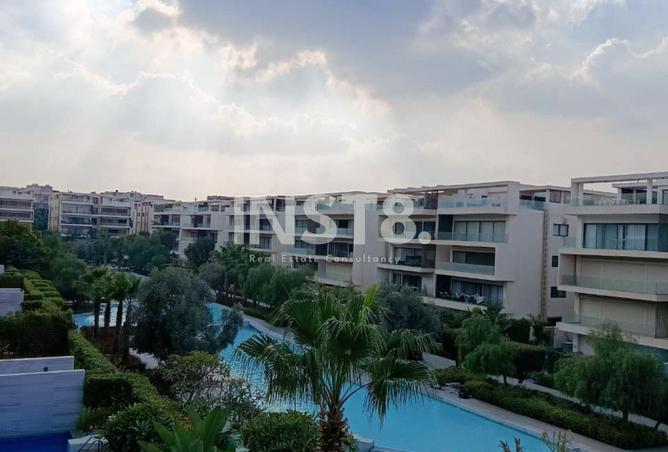 52459776 - Property Image 3