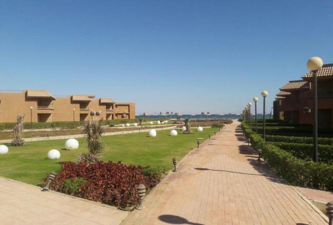 52447997 - صورة العقار 2