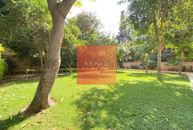 8592268 - صورة العقار 3