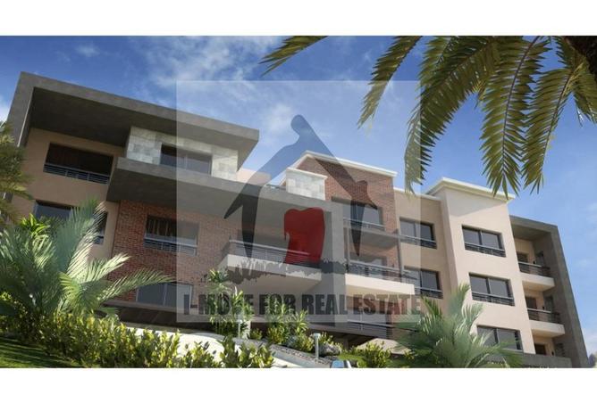 8699665 - Property Image 3