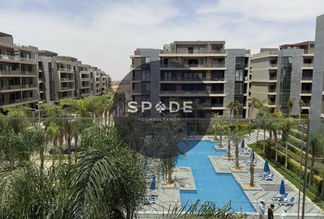 53980376 - Property Image 3