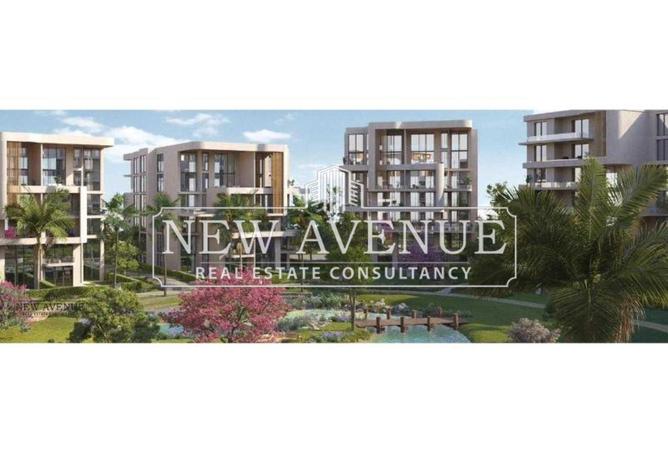 8468660 - Property Image 2