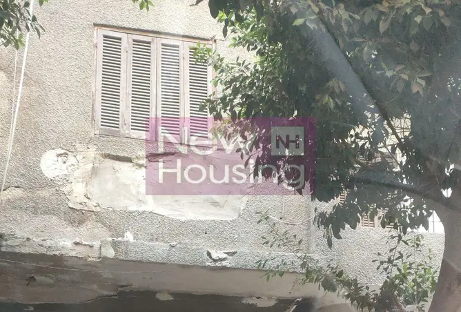 101766865 - Property Image 3