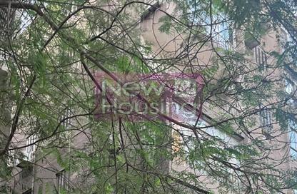 Whole Building - 7+ Bedrooms - 7+ Bathrooms for sale in Zamalek - Cairo Whole Building - 7+ Bedrooms - 7+ Bathrooms for sale in Zamalek - Cairo