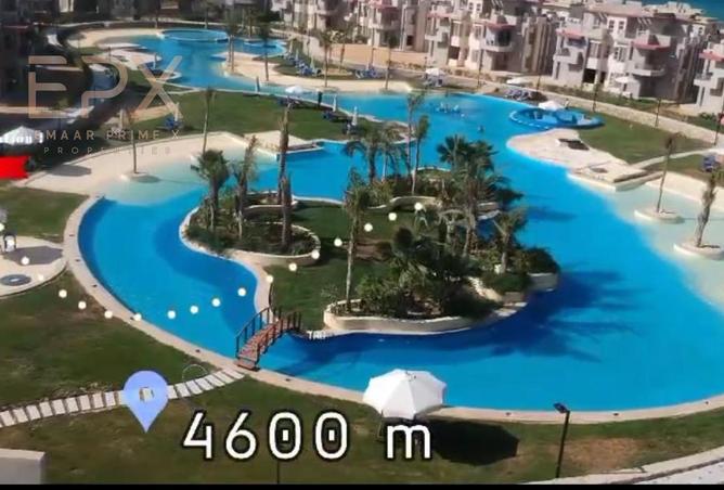 87508586 - صورة العقار 3