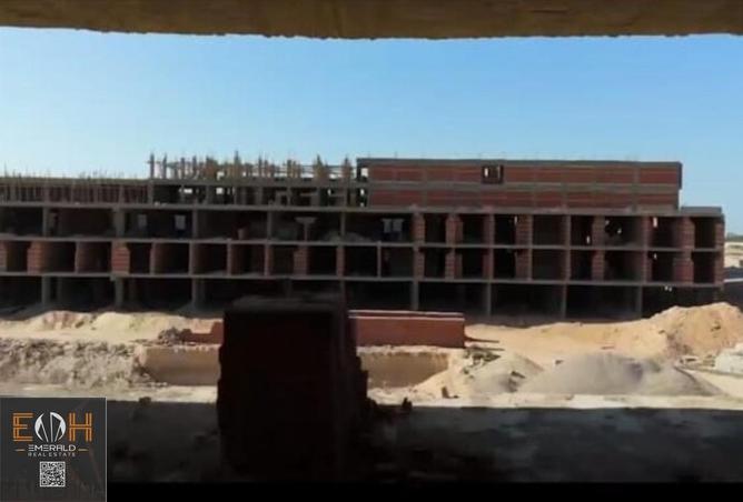 56005594 - Property Image 3