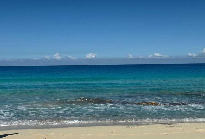 98548712 - صورة العقار 3