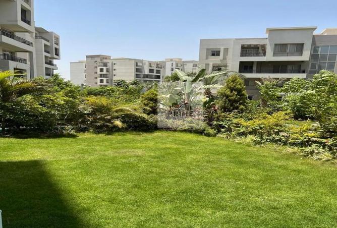 68140283 - Property Image 3