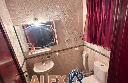 Apartment - 3 - 3 for rent in Amin Yehia St. - Zezenia - Hay Sharq - Alexandria