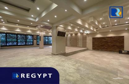 Retail - Studio - 2 for rent in Street 213 - Degla - Hay El Maadi - Cairo