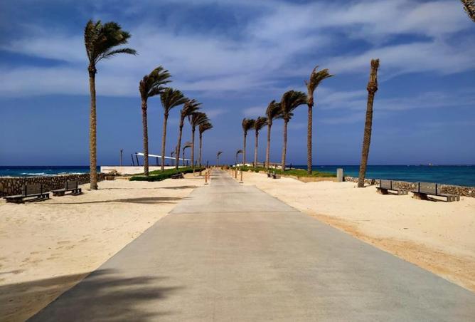 97149703 - صورة العقار 3