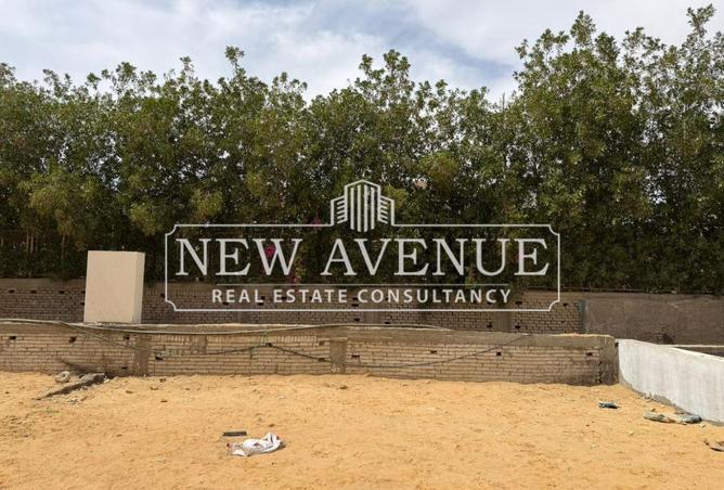 70093818 - صورة العقار 3