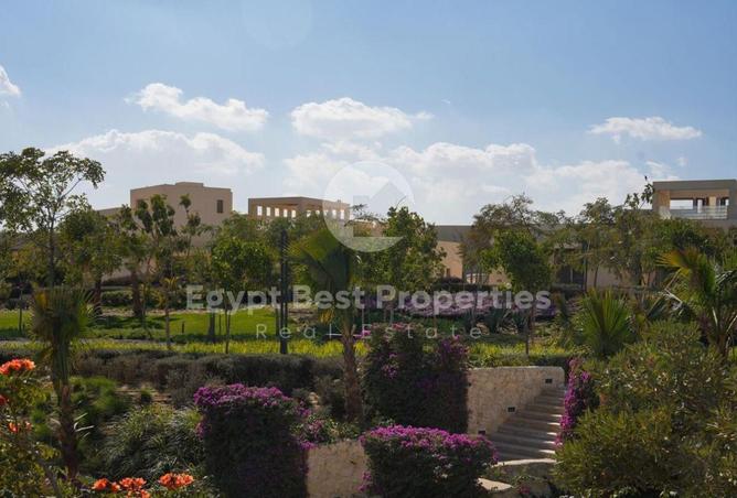 8560329 - صورة العقار 3