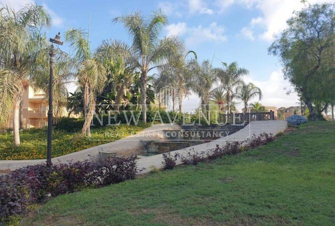 106850401 - Property Image 2