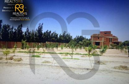 فيلا - 5 - 6 للبيع في طريق مصر اسكندرية الصحراوي - مدينة 6 أكتوبر - الجيزة