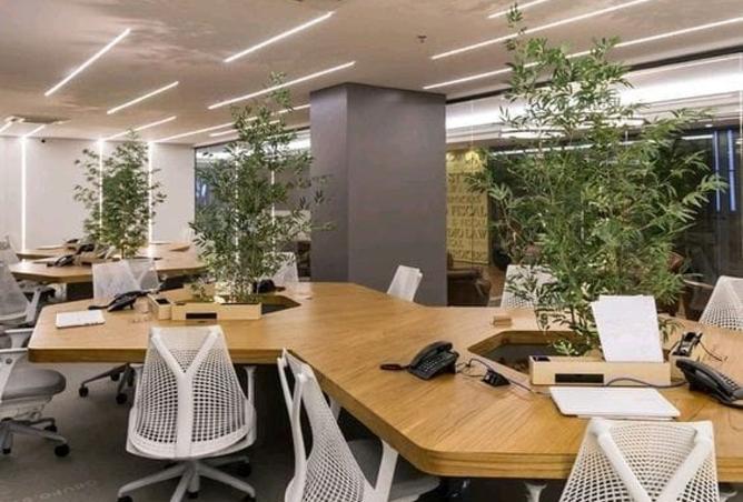 93530246 - Property Main Image