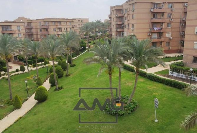 55250456 - Property Image 2