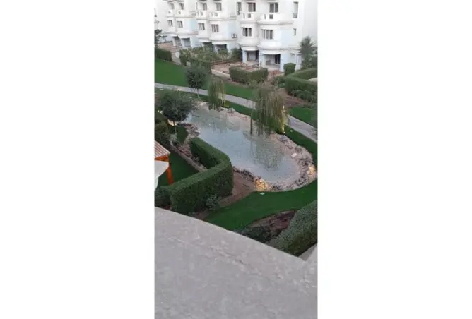 63136519 - Property Image 2
