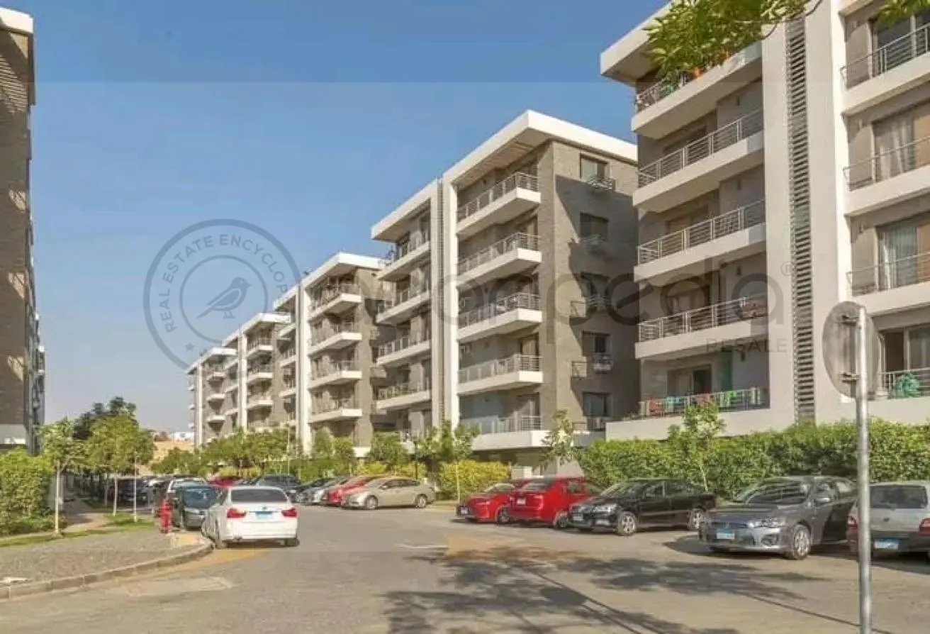 117265749 - الصورة الرئيسية للعقار