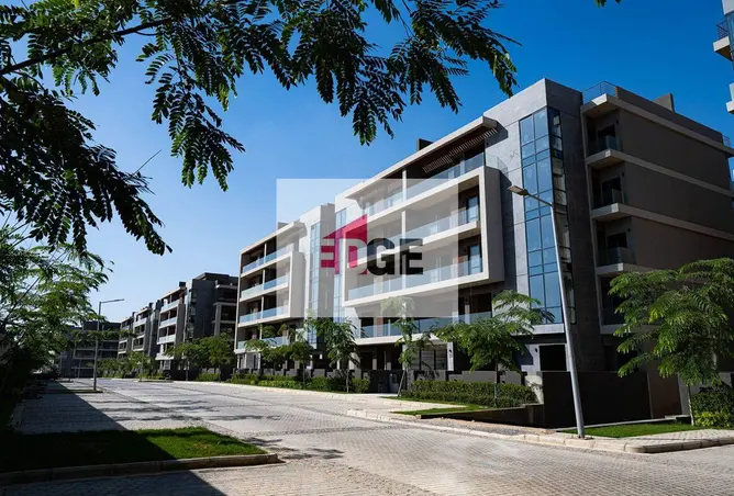 107975580 - Property Image 3