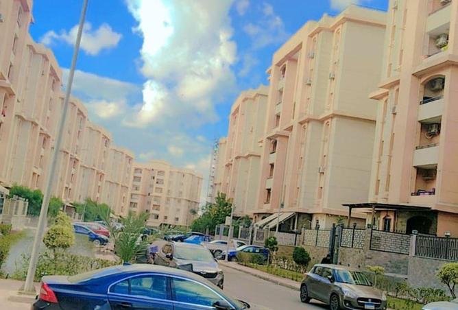 53733036 - Property Image 3