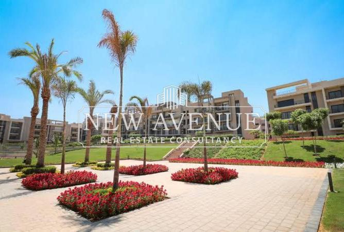 64387796 - Property Image 3