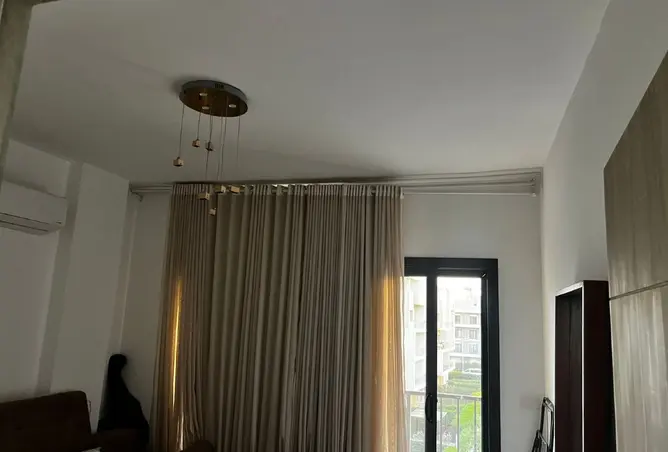 119336944 - Property Image 3