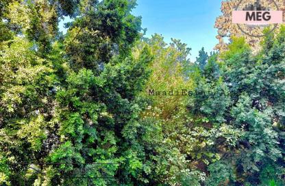 Apartment - 3 Bedrooms - 2 Bathrooms for rent in Street 210 - Degla - Hay El Maadi - Cairo