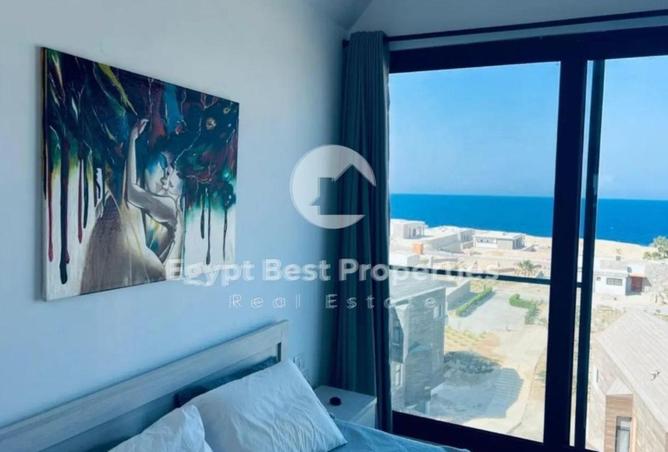 66435174 - Property Main Image