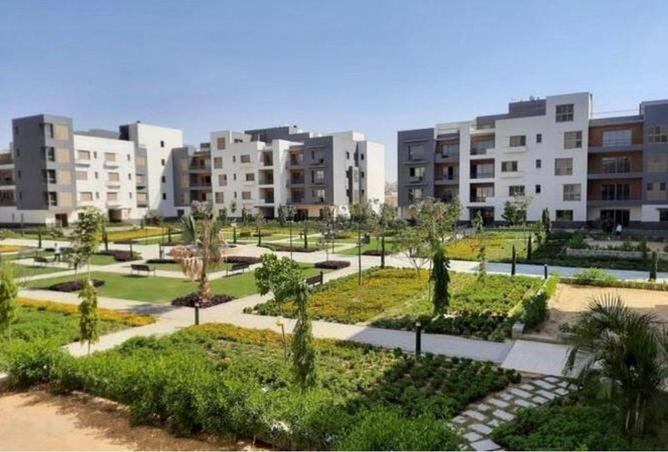 8581790 - صورة العقار 2