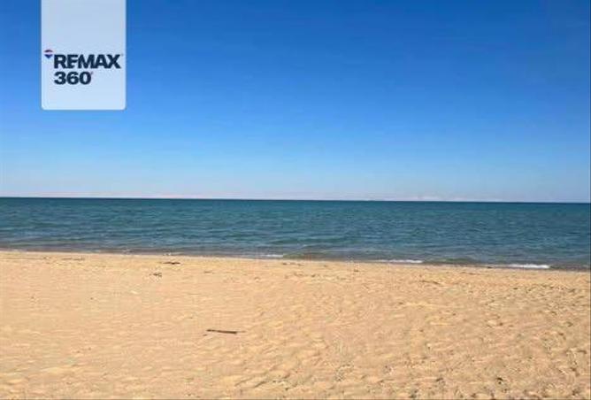 70626124 - صورة العقار 3