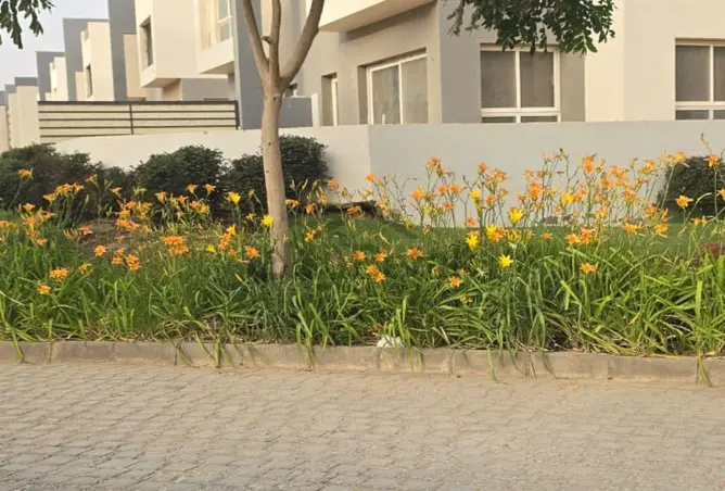111316383 - صورة العقار 3