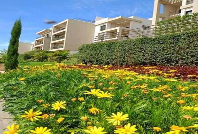 8401536 - صورة العقار 2