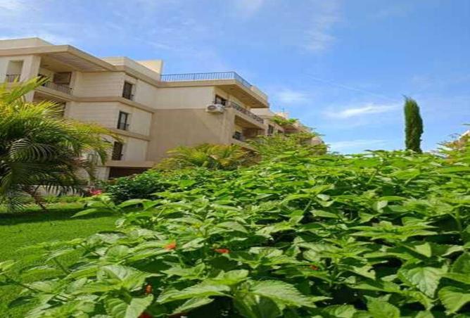 8401536 - الصورة الرئيسية للعقار