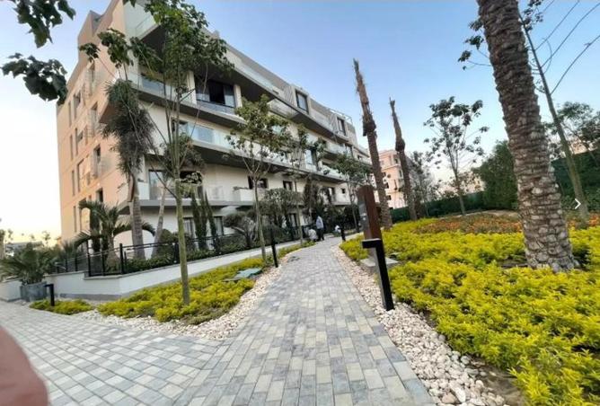 8595157 - Property Image 3