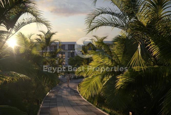 74045415 - صورة العقار 3