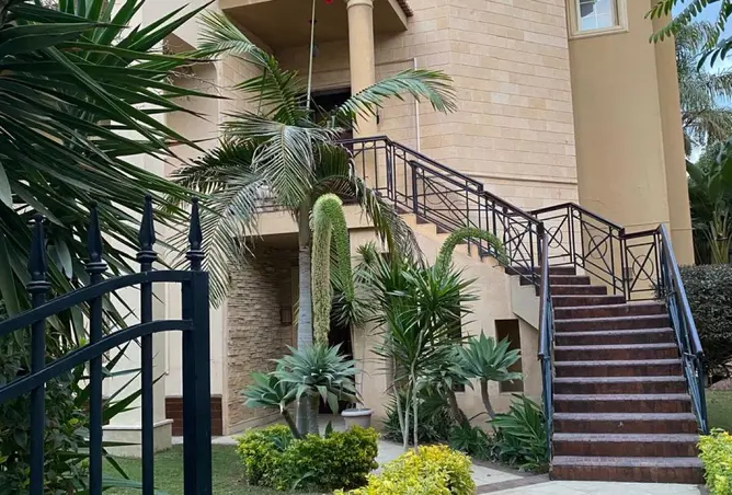 111597852 - Property Image 3