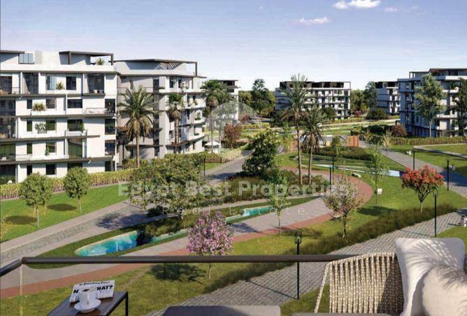 51169419 - Property Image 3