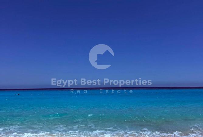 92137101 - صورة العقار 3