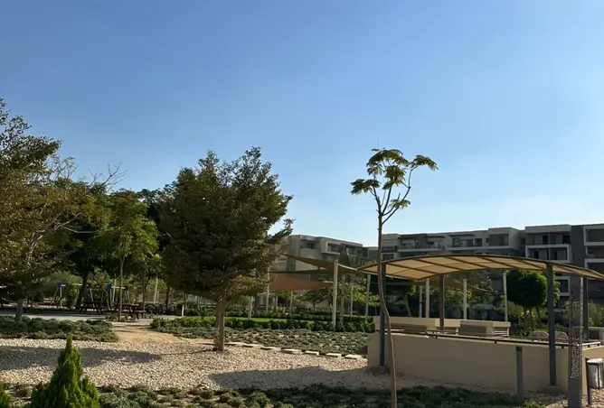 115440875 - صورة العقار 3