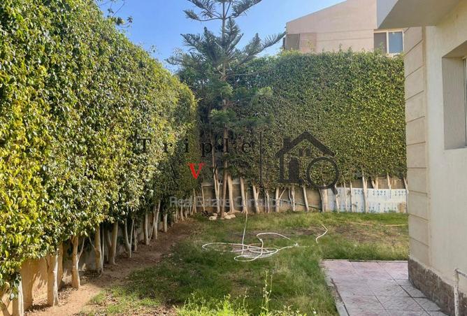 8583021 - صورة العقار 3