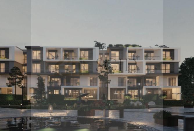 53736355 - Property Image 3